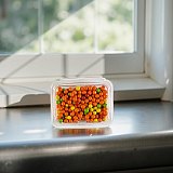 Assorted Tootsie Candy Coated Fruit Chews Including Cherry, Orange, Lime, and Lemon, 1 lb. Tub View 3