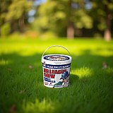 Big League Chew - Original Bubble Gum Flavor + 80pcs Individually Wrapped Gumballs + For Games, Concessions, Picnics & such View 6