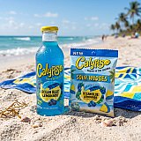 Calypso Sour Wedges Chewy Candy, 4 Pack, Choose Ocean Blue Lemonade, Lemonade Favorites Mix or Variety Pack, 4.5 oz Bags View 4