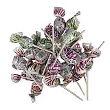Charms Classic Candy Favorites – Classic Regular BlowPops Mix, Approx. 23 Lollipops | Assorted Regular