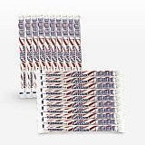 Gilliam Nostalgic Candy Sticks – Classic Retro Sweet Treats | Peppermint Flavor, 20 Count