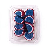 Gourmet Agar Jelly Fruit Slices, 1 lb Tub, Full Size, 20+ Fruit Flavors | Blue Raspberry