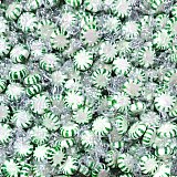 Green & White Individually Wrapped Spearmint Starlight Mints Bulk 6 Pounds View 2