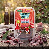 Gummy Rush Sour Belts, 10oz Container, Non GMO, Real Fruit Juice, No Artifical Colors, Top 6 Allergen Free | Choose Your Flavor View 2