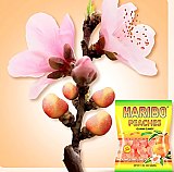Haribo Gummi Candy, Peaches, 5 oz. Bag (Pack of 12) View 5