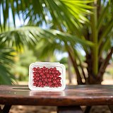 Nostalgic Cherry Sours Jelly Candy, 1 lb. Tub View 6