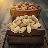 Salted Roasted Peanuts In Shells, Freshly Harvested, 100% US Grown, 1 Lb Tub View 2