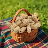 Salted Roasted Peanuts In Shells, Freshly Harvested, 100% US Grown, 1 Lb Tub View 5