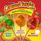 Tootsie Fall Candy Favorites, Limited Edition Caramel Pops, Harvest Mix & Caramel Apple Pops, Seasonal Fall Flavors View 5