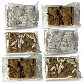 Carlotta's Bakery Authentic Traditional New York Style Crumb Cake Single Serve Massive 6 Oz Variety, Original, Chocolate and Raspberry, 6 Packs (2 Lbs) - Specialty Snack by Carlotta's Bakery