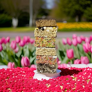 Marshmallow Crispy Treat Bars 6 Pack, Choose Flavor or 6 Flavor Variety Pack Individually Wrapped Dessert Bars - Specialty Snack by Tribeca Curations
