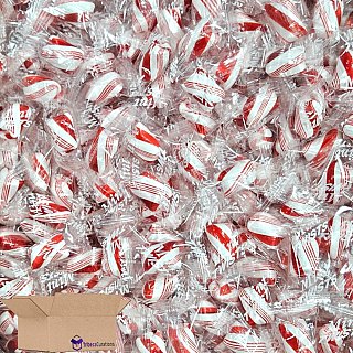 Red & White Cylinder Shaped Mint Candy Twists, 1 lb. - Specialty Snack by Tribeca Curations