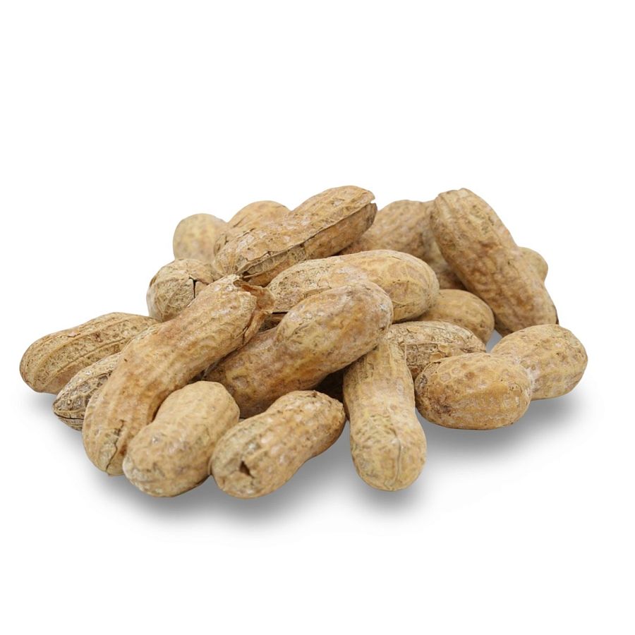 Salted Roasted Peanuts In Shells, Freshly Harvested, 100% US Grown, 1 Lb Tub - Specialty Snack by Tribeca Curations