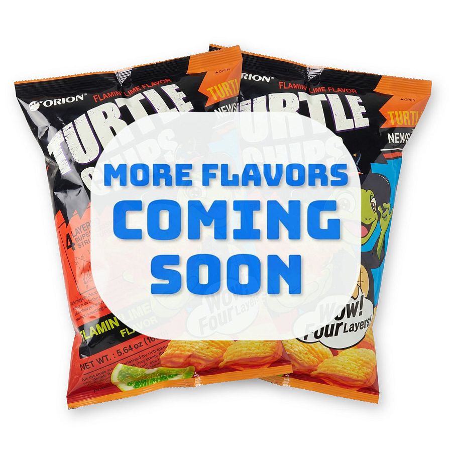 Turtle Chips Korean 4-Layer Crispy Snack Chips, 2 Pack | NewFlavor02 - Specialty Snack by Turtle Chips